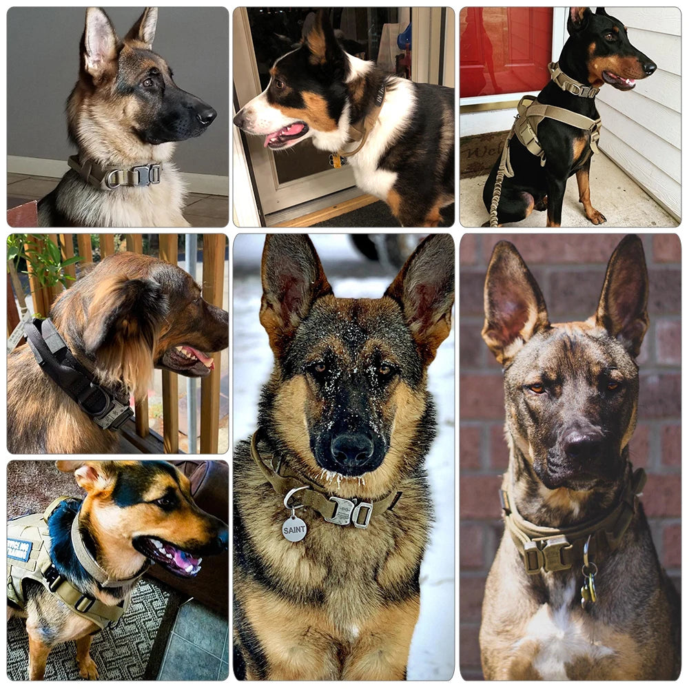 Dog Training Collar  And Leash Set