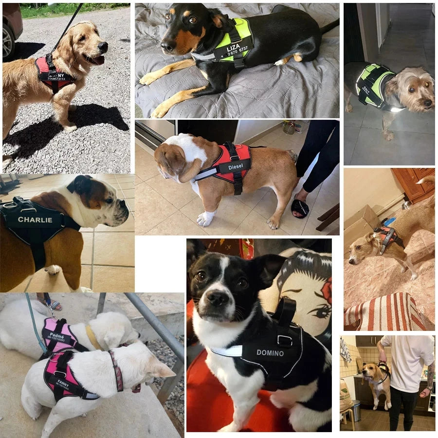 Dog Harness Vest