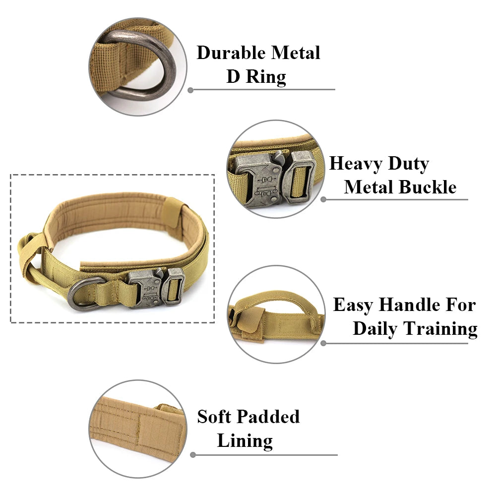 Dog Training Collar  And Leash Set