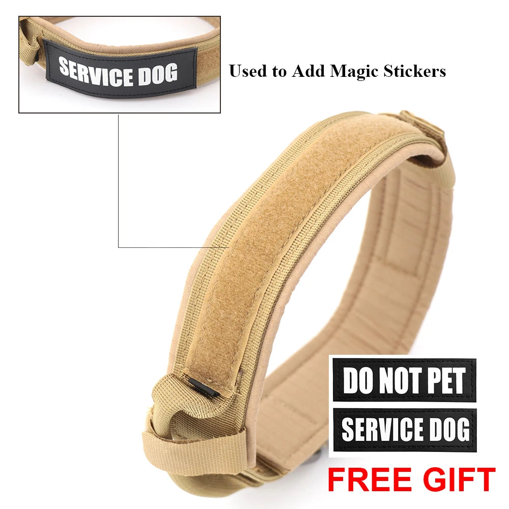 Dog Training Collar  And Leash Set