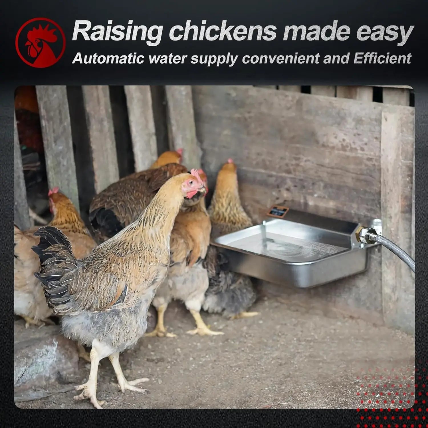 Automatic Water Dispenser