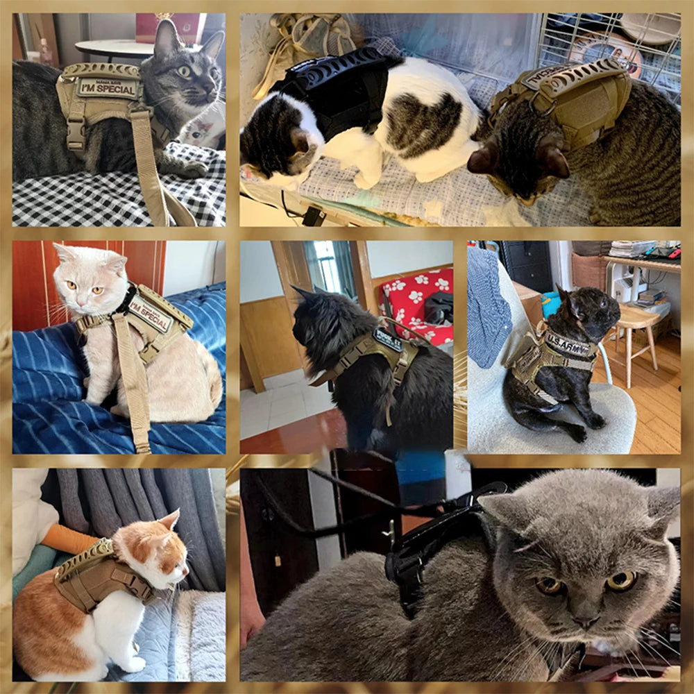 Tactical Cat Harness Adjustable Puppy Vest