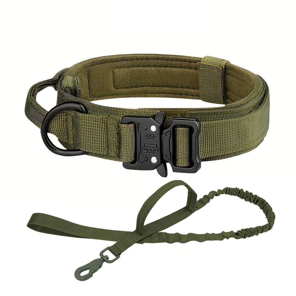 Dog Training Collar  And Leash Set