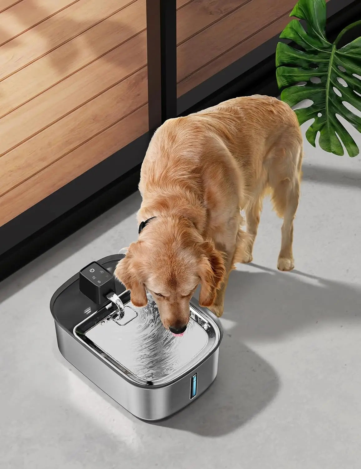 Wireless Dog Water Fountain