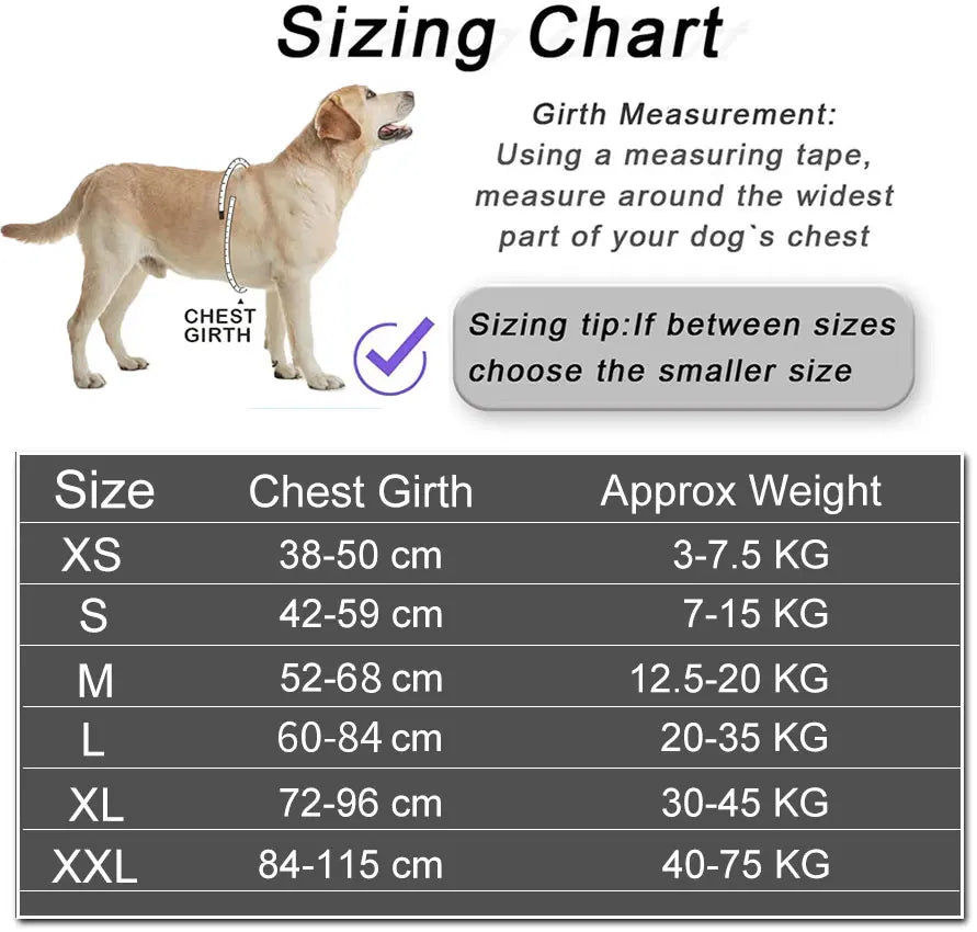 Dog Harness Vest
