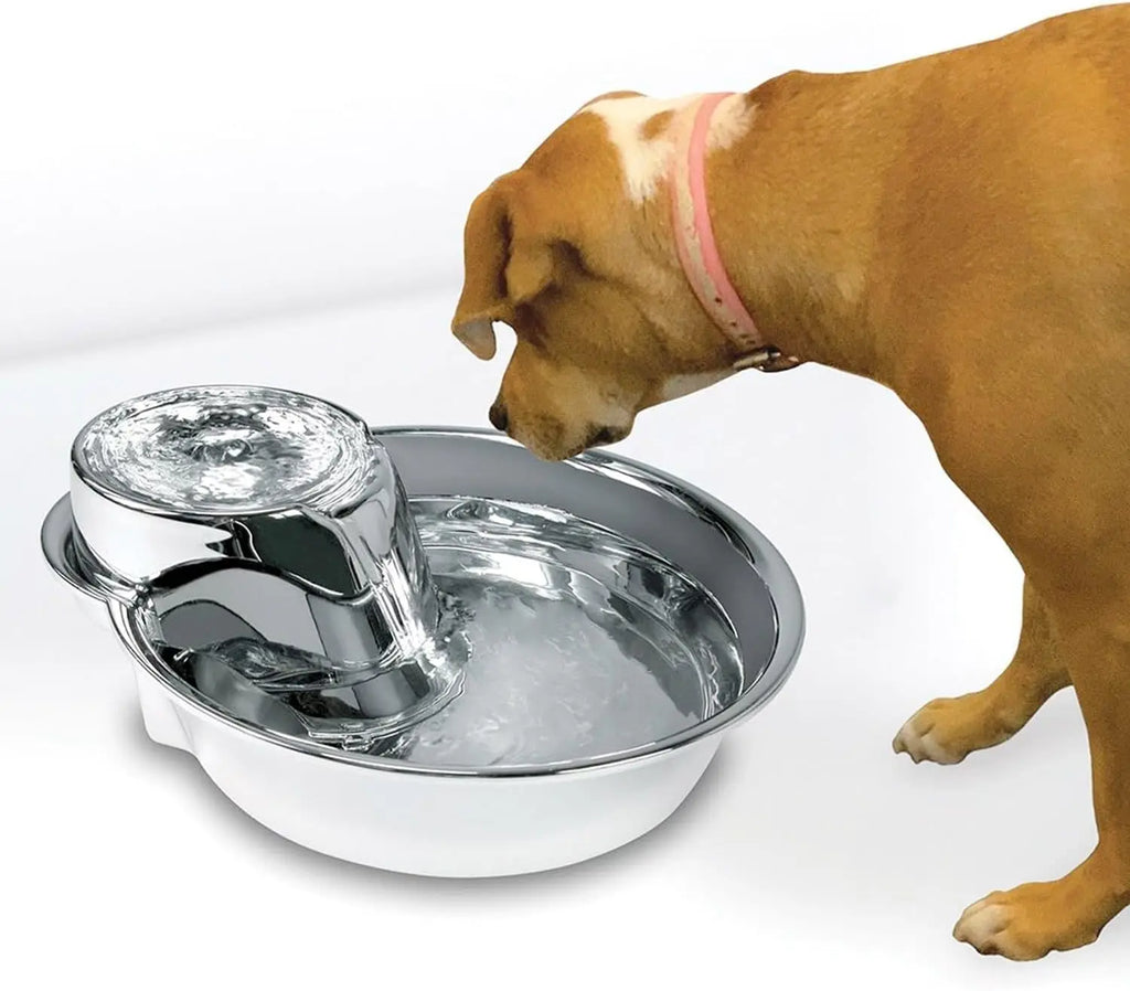 Stainless Steel Pet Fountain