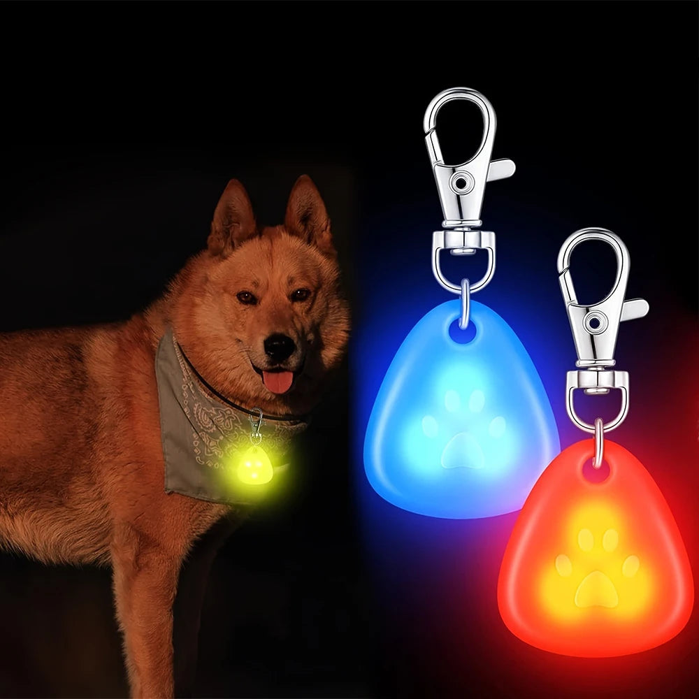 Night Walking Luminous Pendant