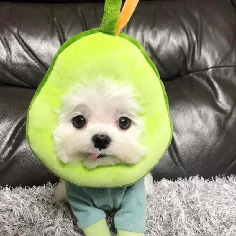 Soft Toast Avocado Shaped Collar