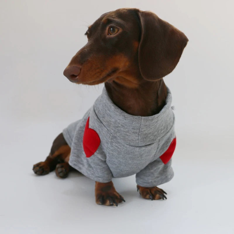 Cotton Coat For Wiener Dog