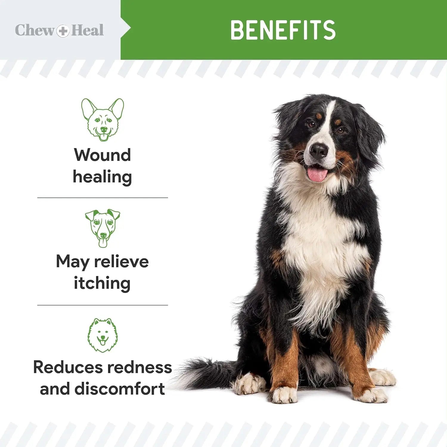 Soothe & Heal Fast Dog Wound Spray
