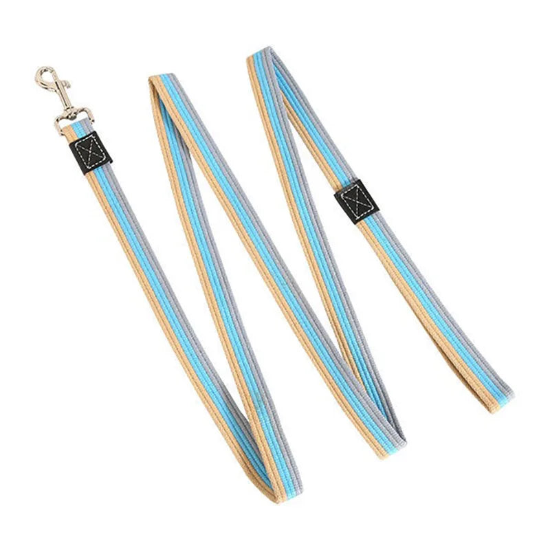 Long Dog Training Leash