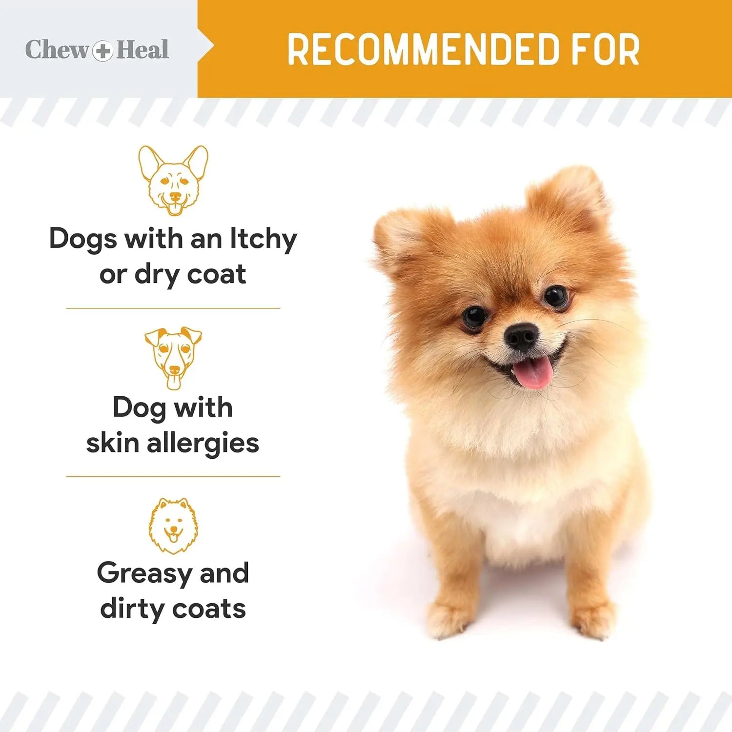 Premium Salmon Oil For Dogs