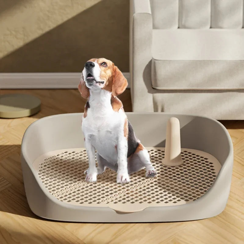 Indoor Dog Potty Training