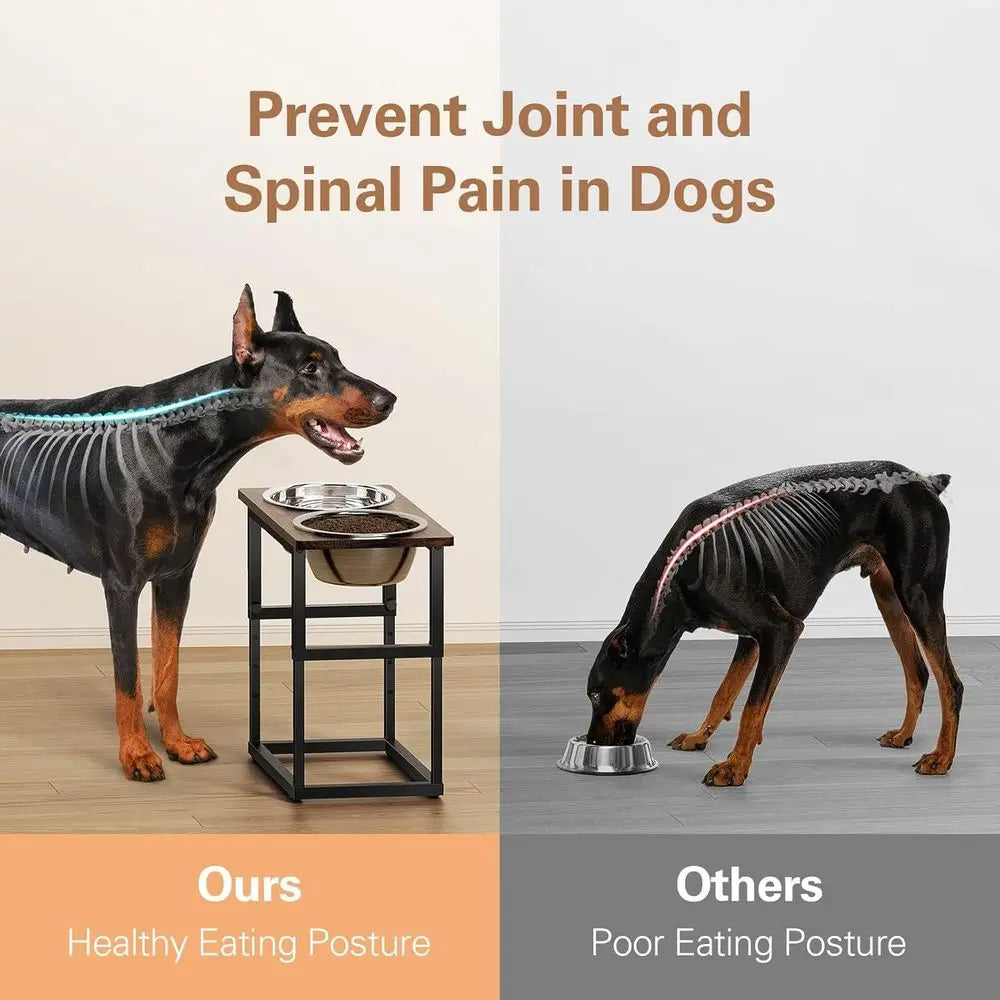Elevated Dog Bowls for Large Breed