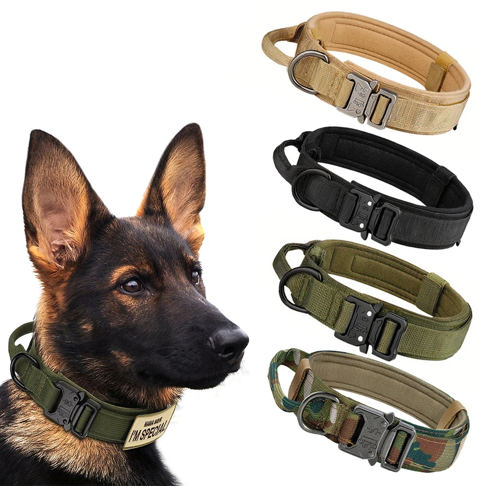 Dog Training Collar  And Leash Set
