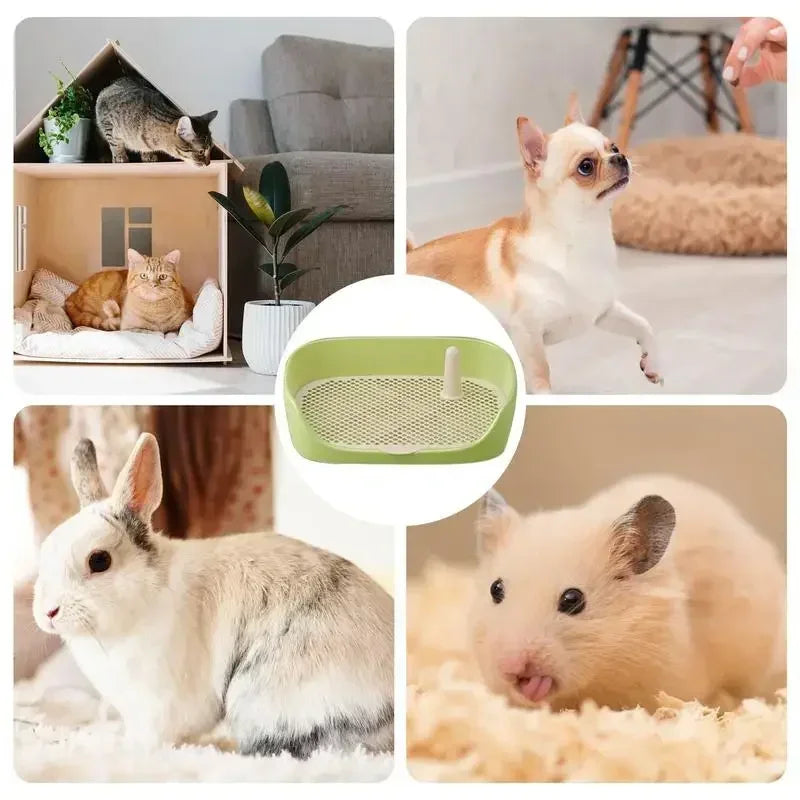 Indoor Dog Potty Training