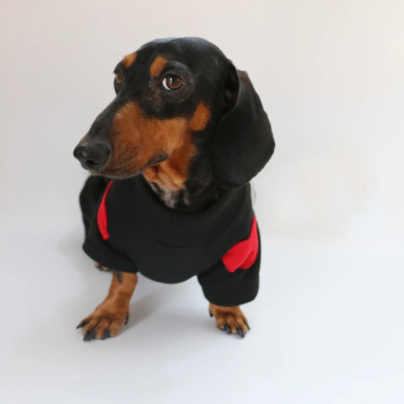 Cotton Coat For Wiener Dog