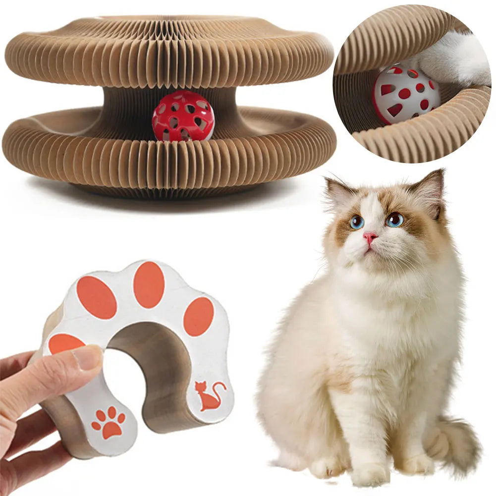 Cat Board Interactive Scratcher Toy