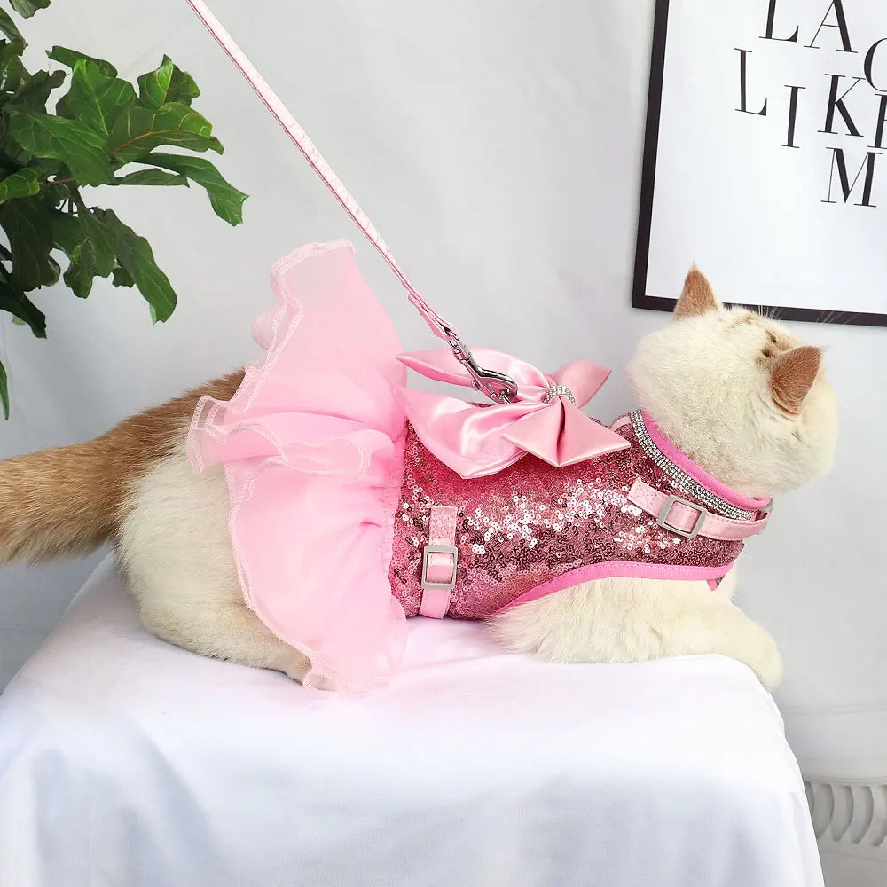 Dress Small Dogs Cats