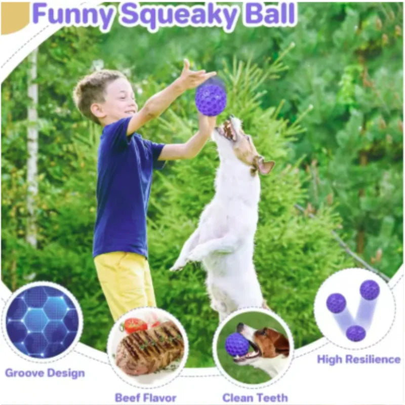 Rubber Ball Dog Chewing Toy