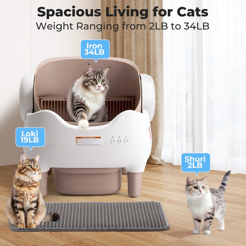 Self Cleaning Automatic Cat Litter Box For Cats