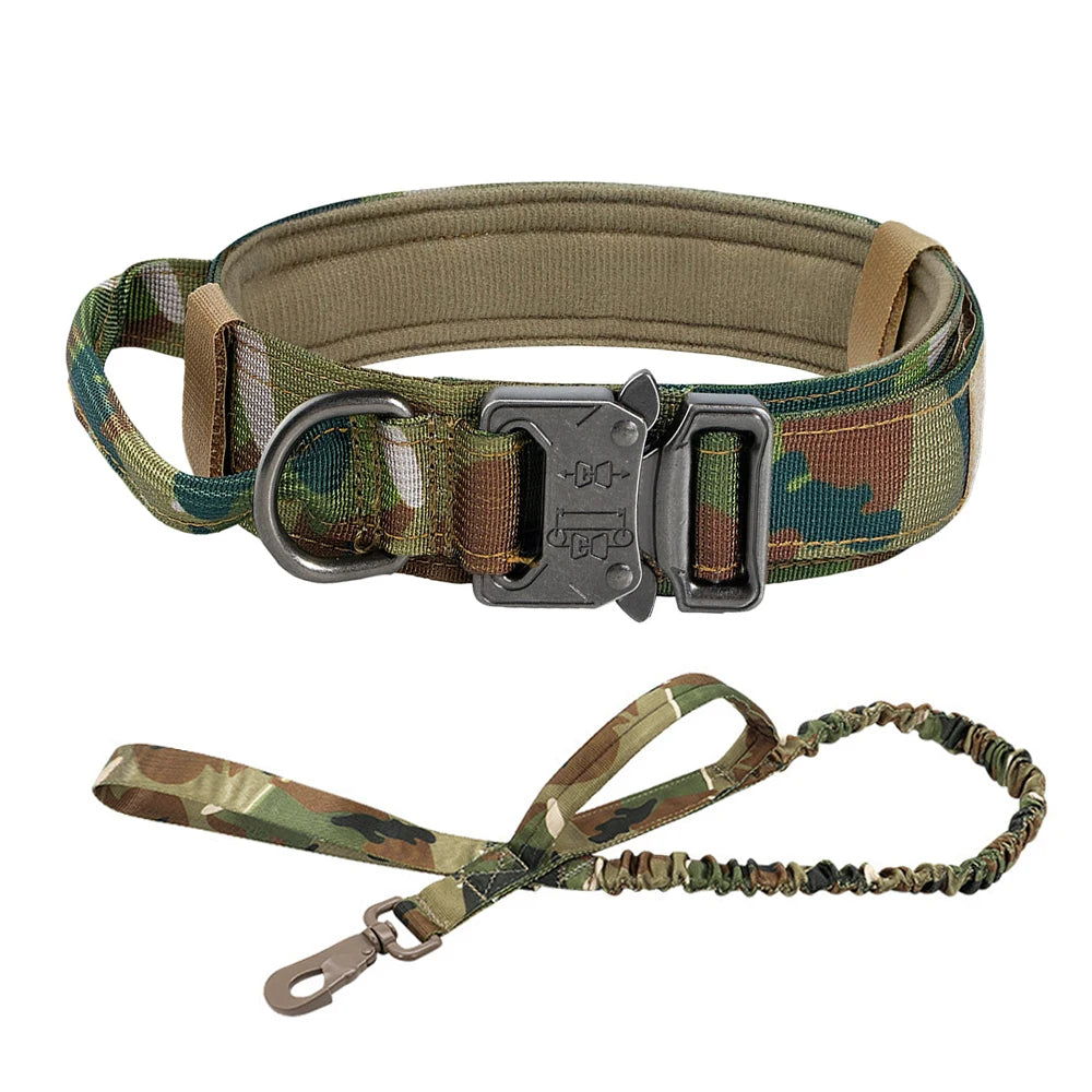 Dog Training Collar  And Leash Set