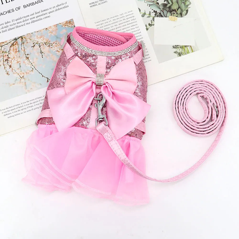 Dress Small Dogs Cats
