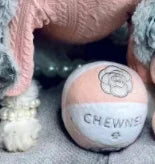 Pet Plush Toys
