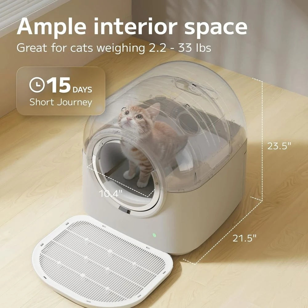 Cleaning Litter Box Automatic