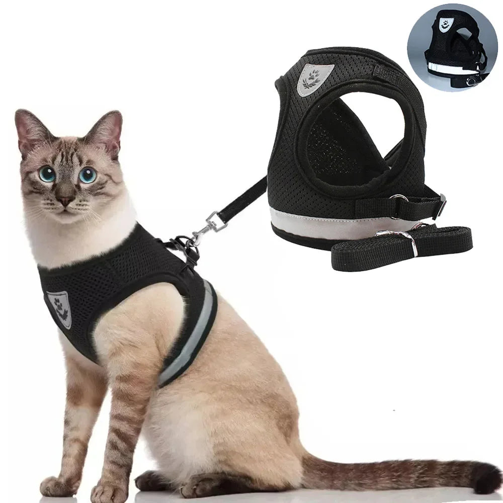 Cat Harness Lead Leash Set