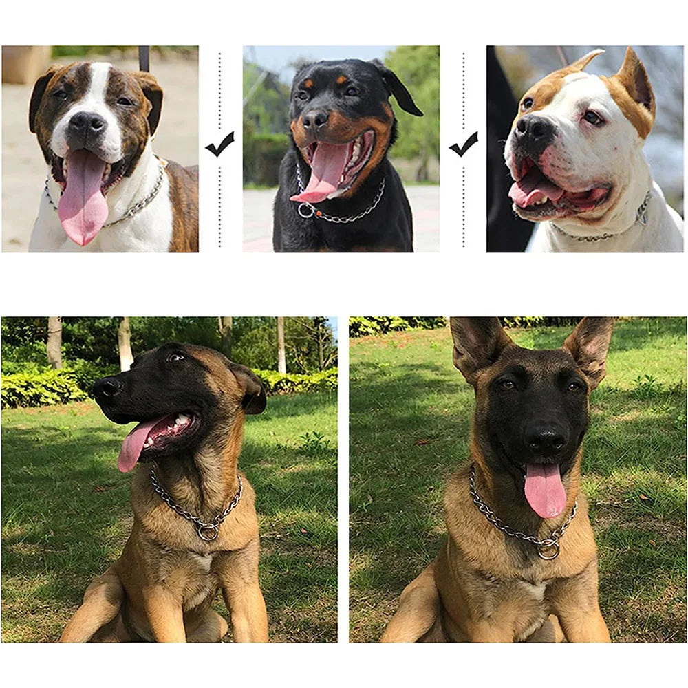 Dog Choke Collar