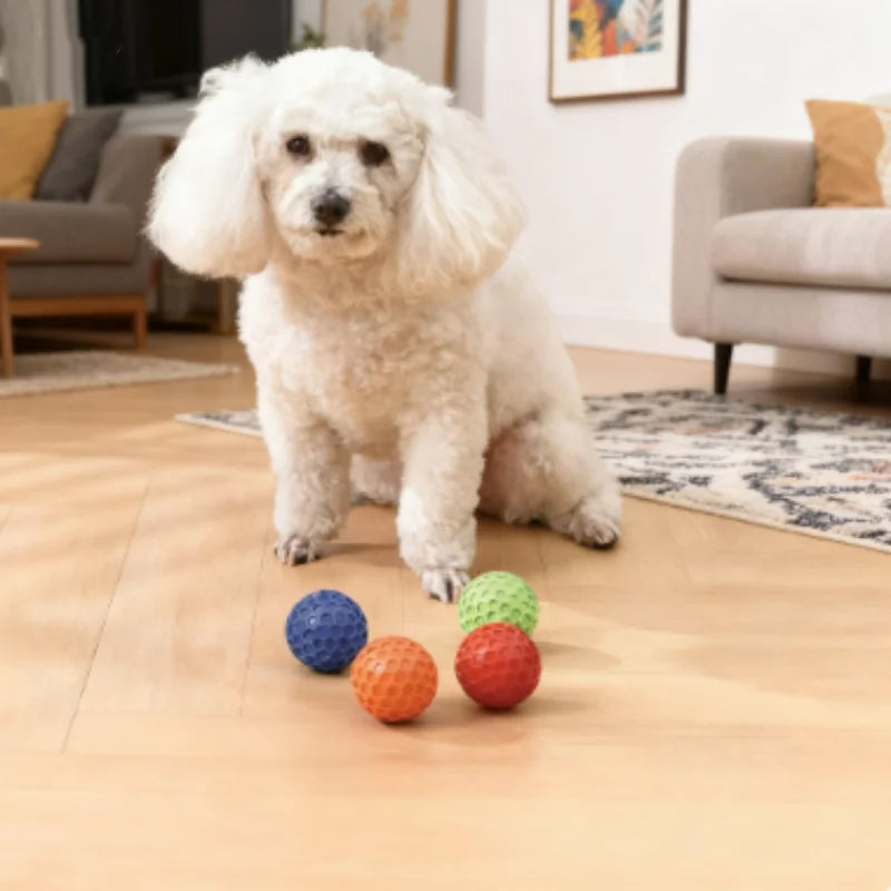 Rubber Ball Dog Chewing Toy