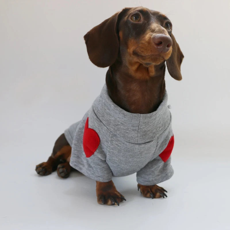 Cotton Coat For Wiener Dog