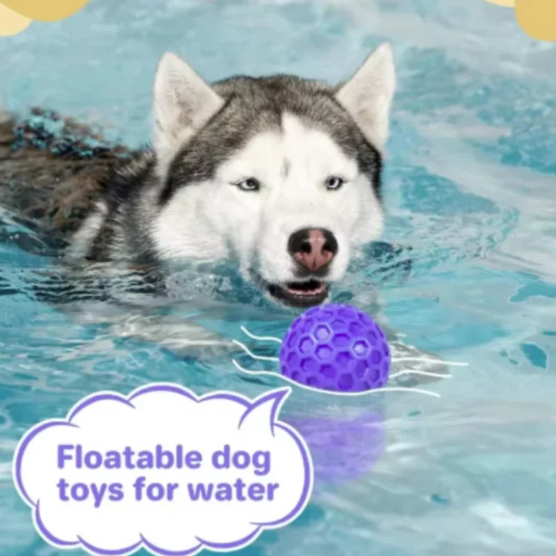 Rubber Ball Dog Chewing Toy