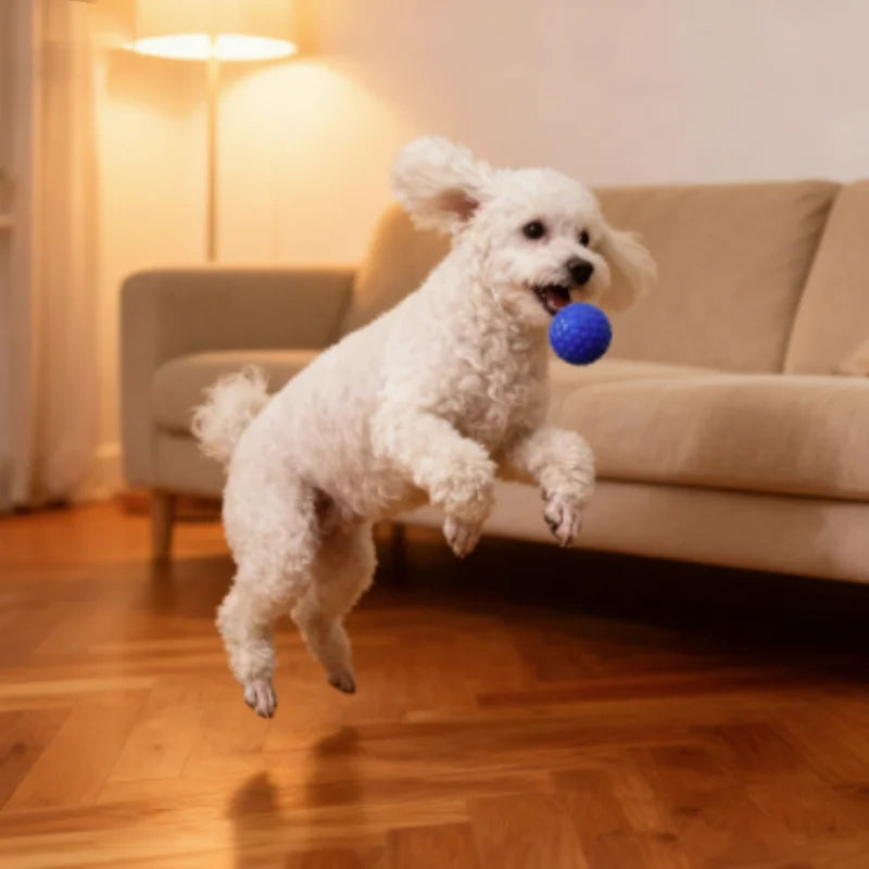 Rubber Ball Dog Chewing Toy