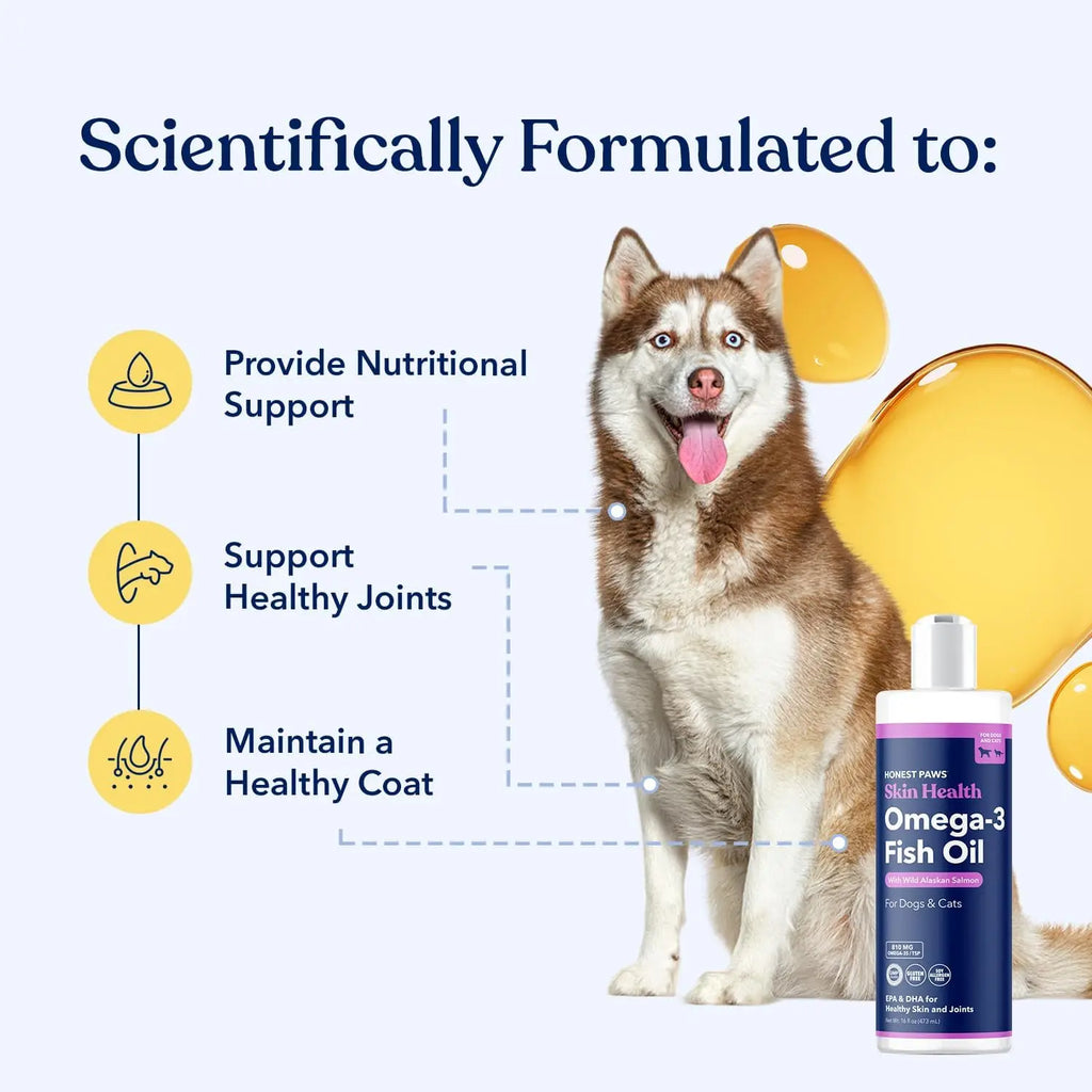 Salmon Oil For Dogs & Cats