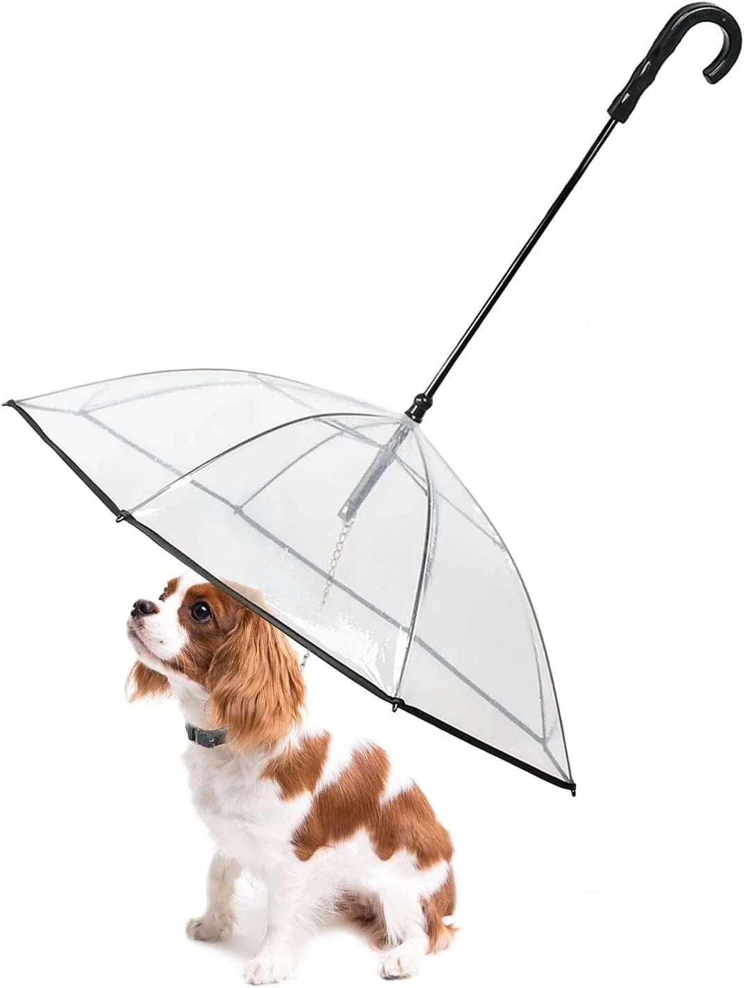 Dog Umbrella with Leash