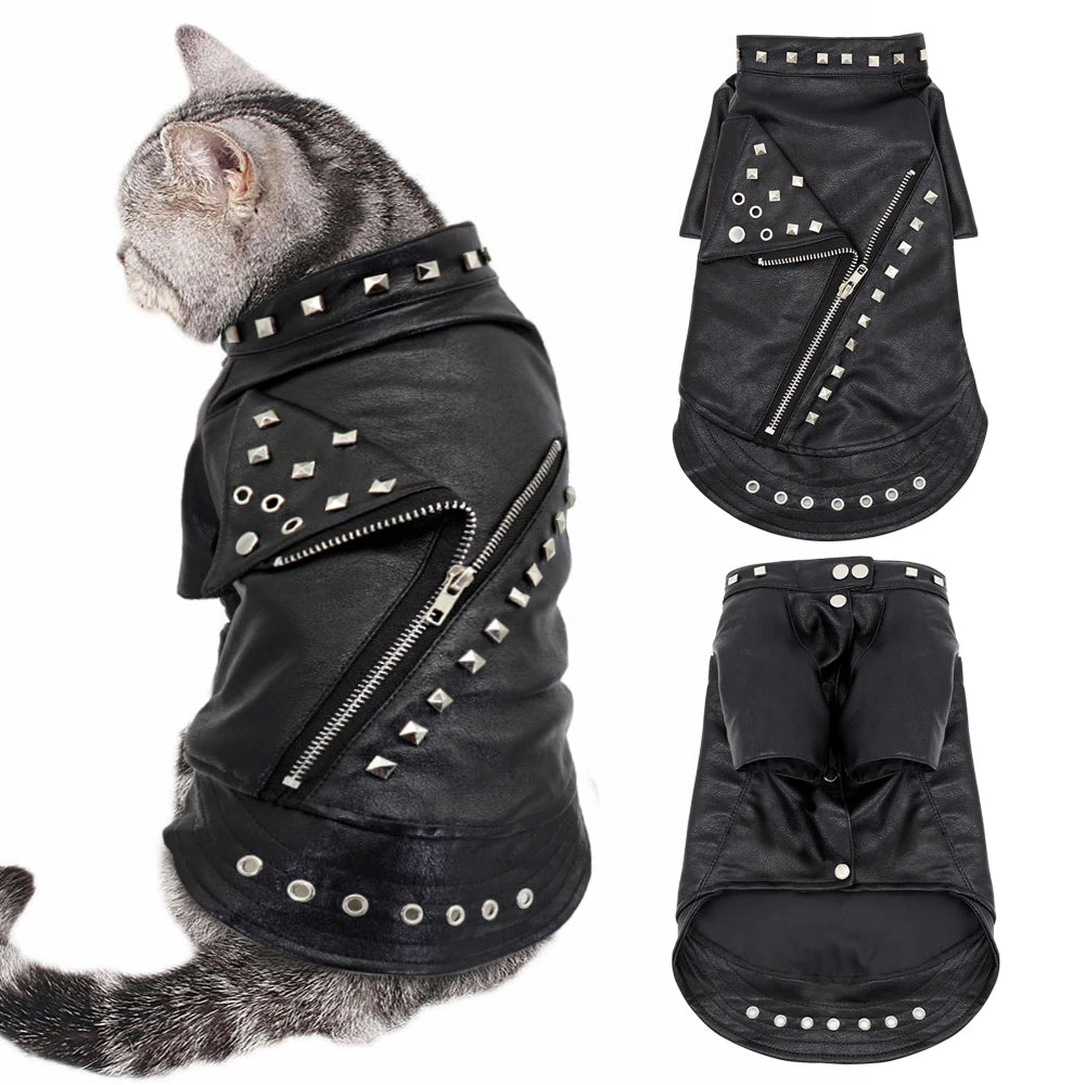 Leather Jacket For Cats, Small Dogs
