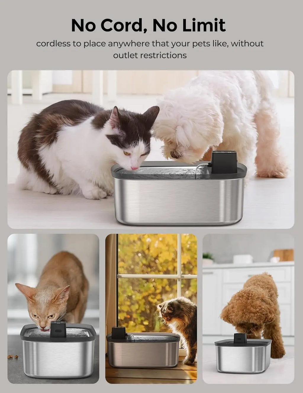 Wireless Dog Water Fountain