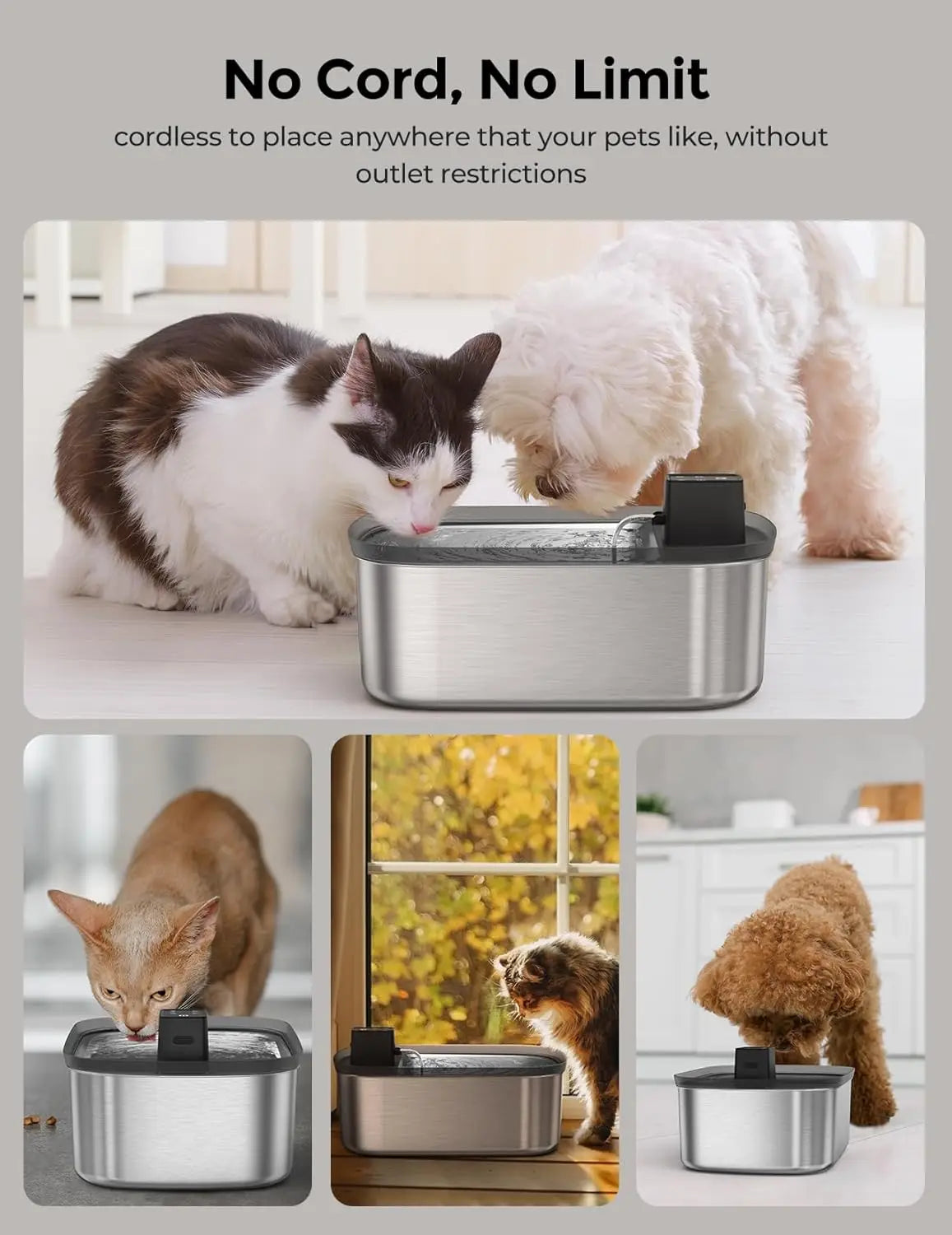 Wireless Dog Water Fountain