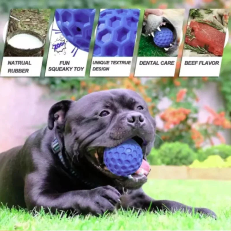 Rubber Ball Dog Chewing Toy