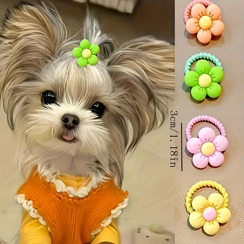 Pet Hair Accessory Set