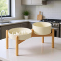 Raised Slow Feeder Dog Bowl Set