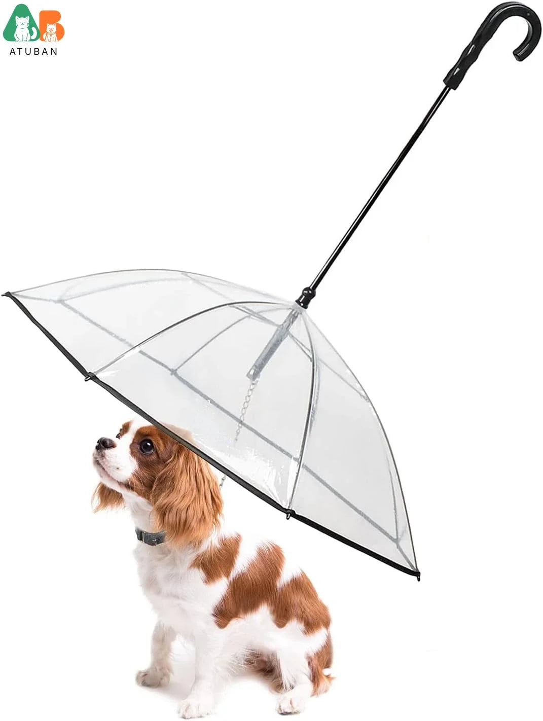 Dog Umbrella with Leash
