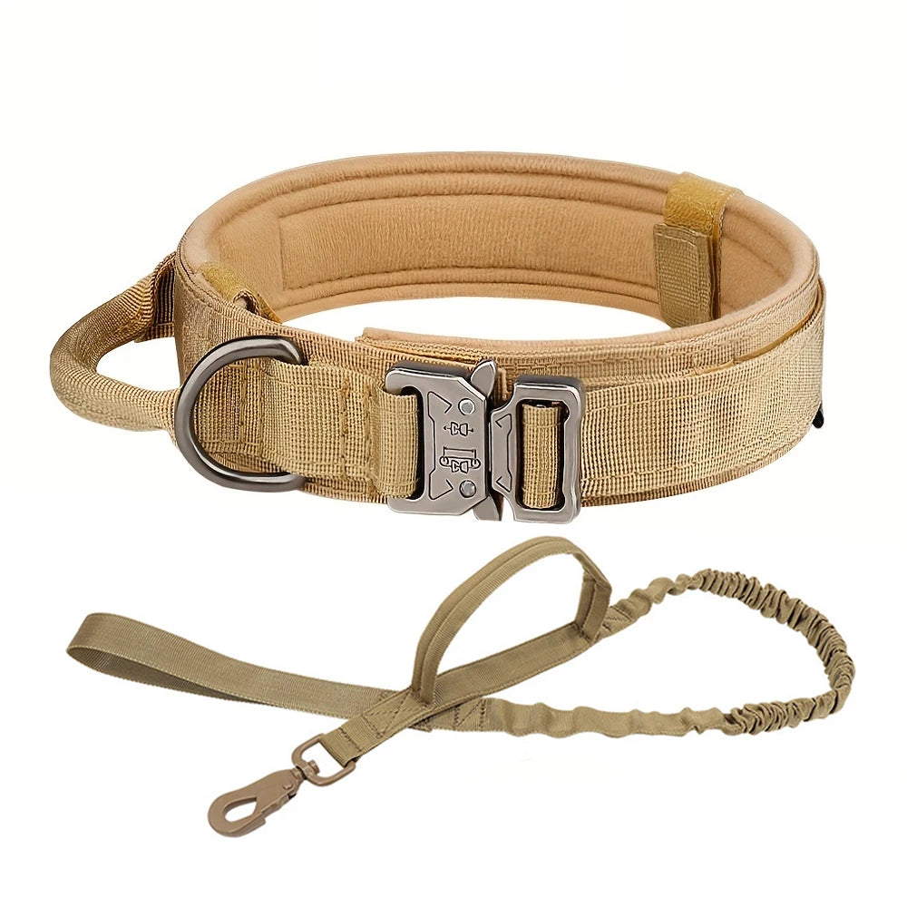 Dog Training Collar  And Leash Set