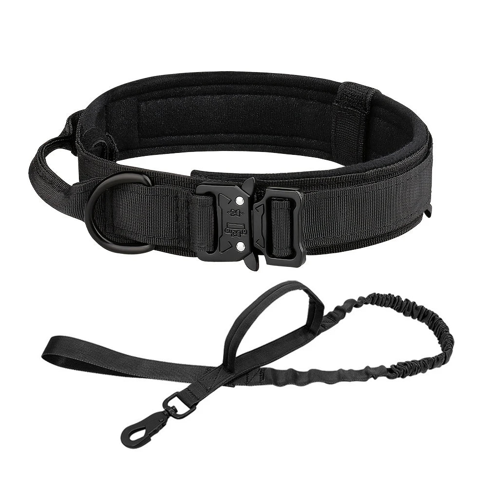 Dog Training Collar  And Leash Set