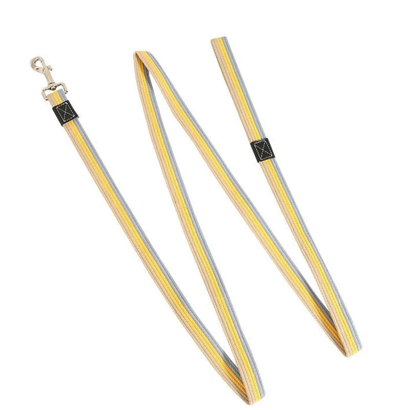 Long Dog Training Leash