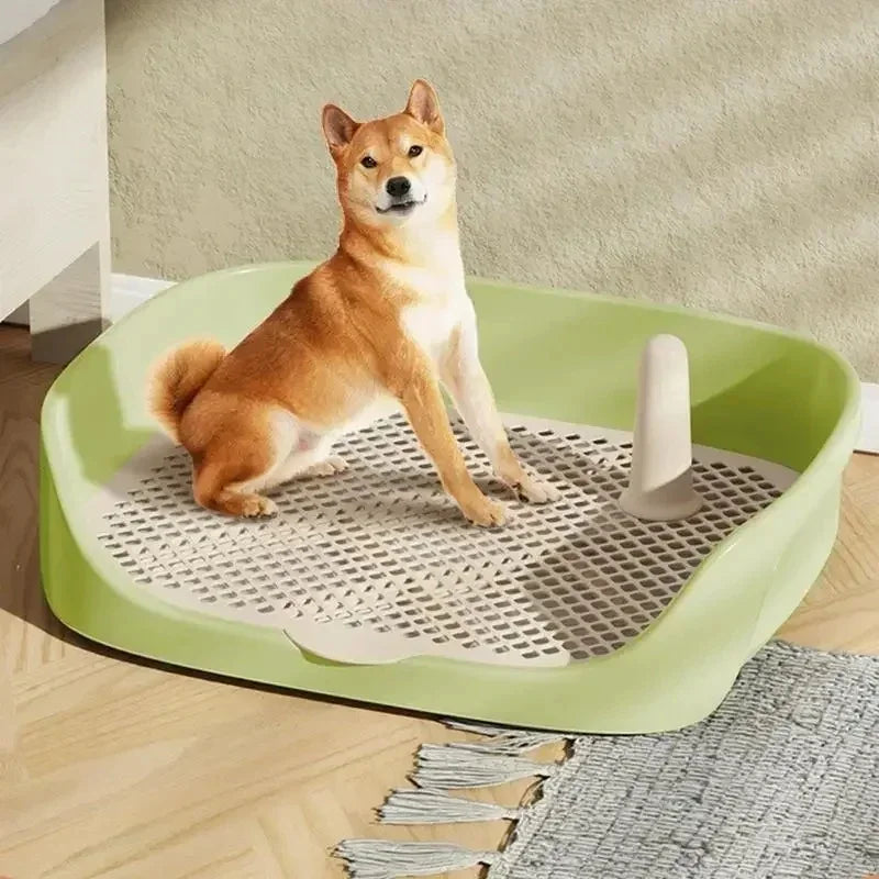 Indoor Dog Potty Training